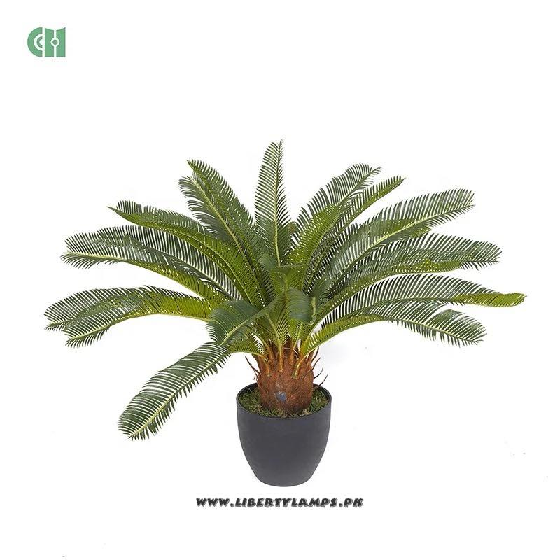 πΏ Natural Touch β 15β Artificial Kangi Pass Plant