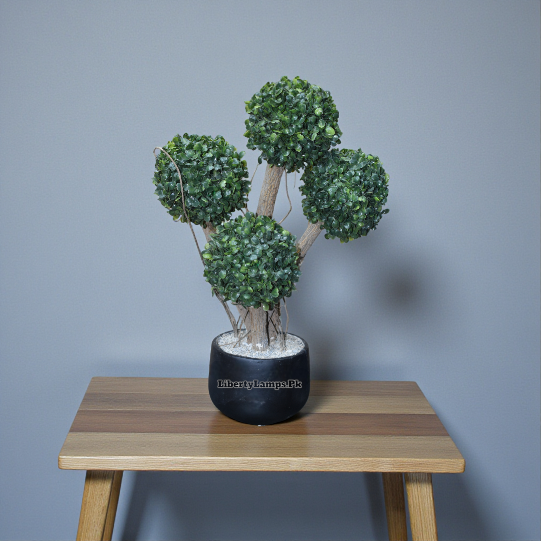 Mystic Mushroom Plant – Decorative Accent (Single)