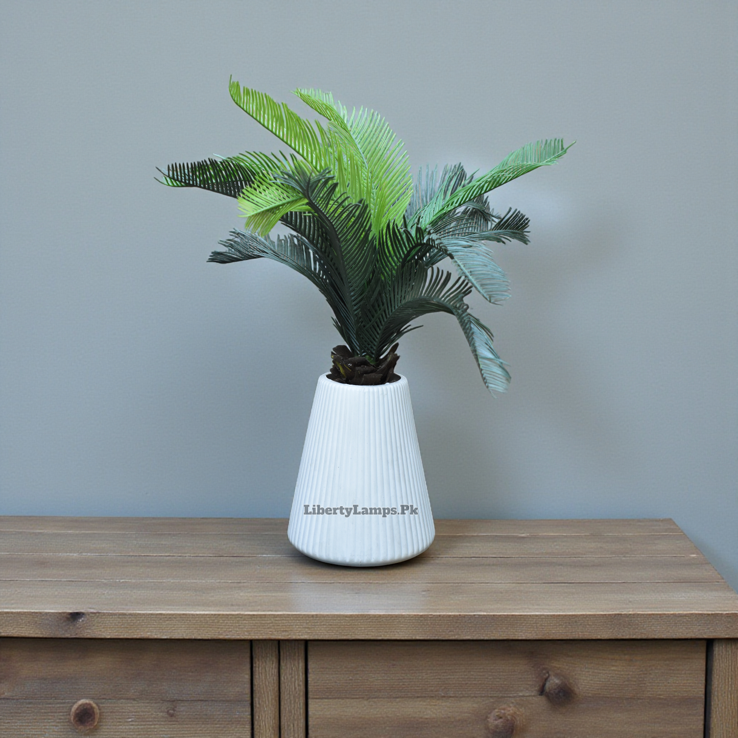 Tropical Grace™ – Kangi Palm Pair (18 Inch Height)