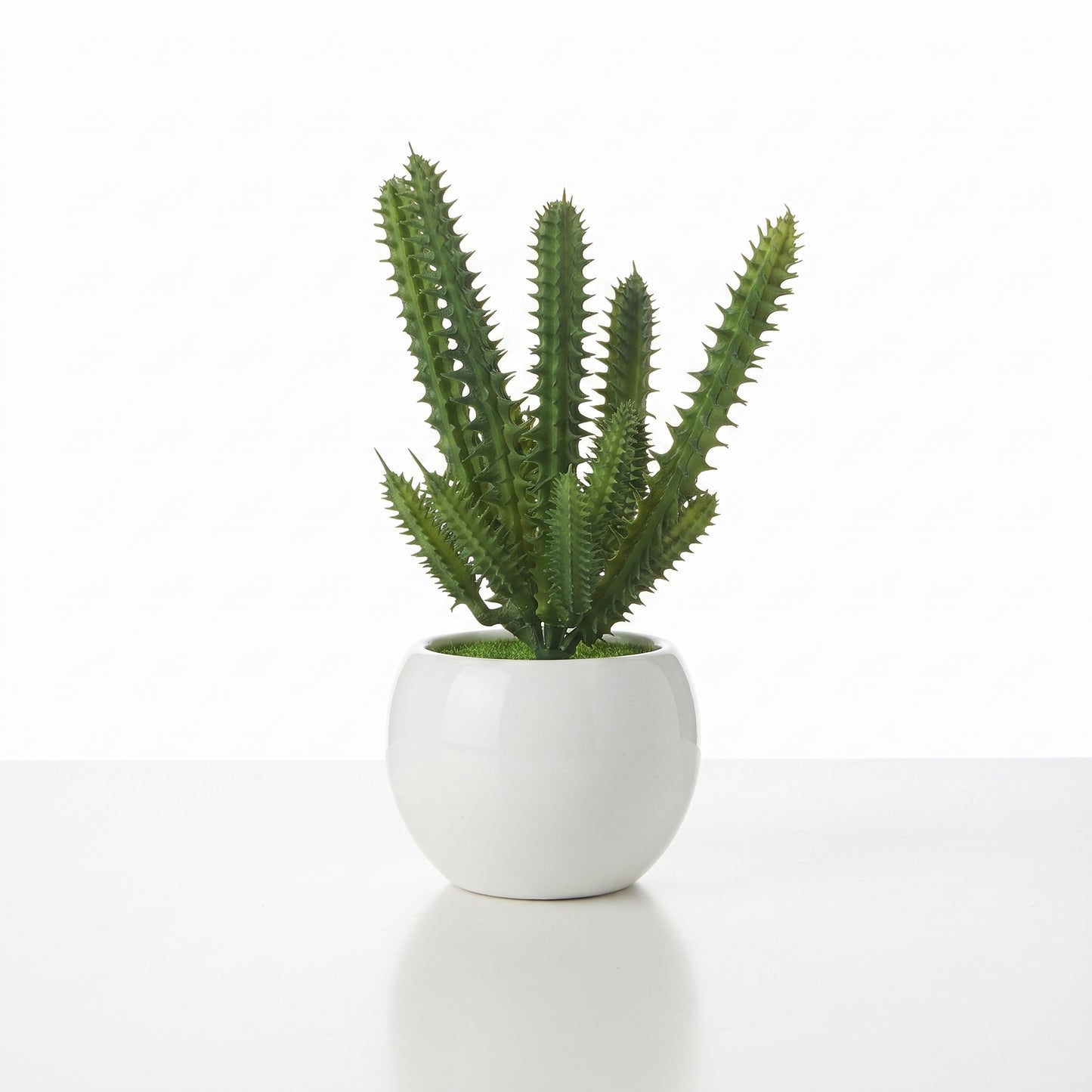 Desert Bloom™ – Small Cactus Pot