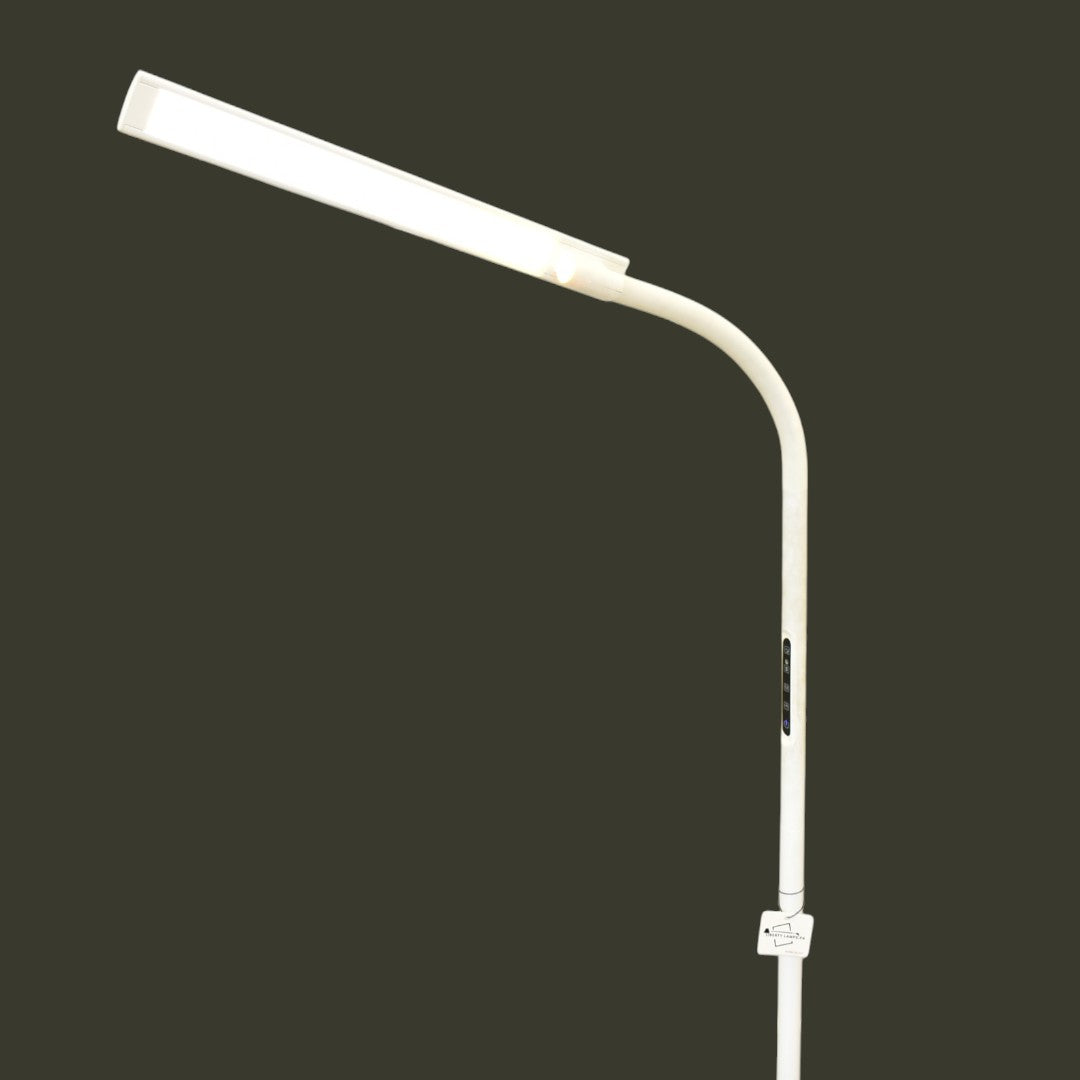 📘 FocusLite – Study Floor Lamp (Single)