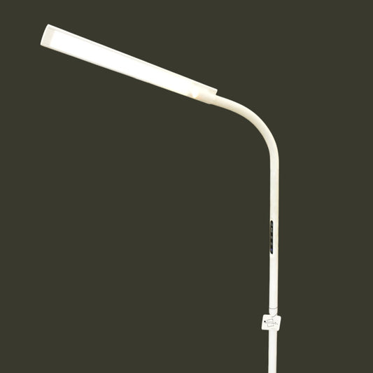 📘 FocusLite – Study Floor Lamp (Single)