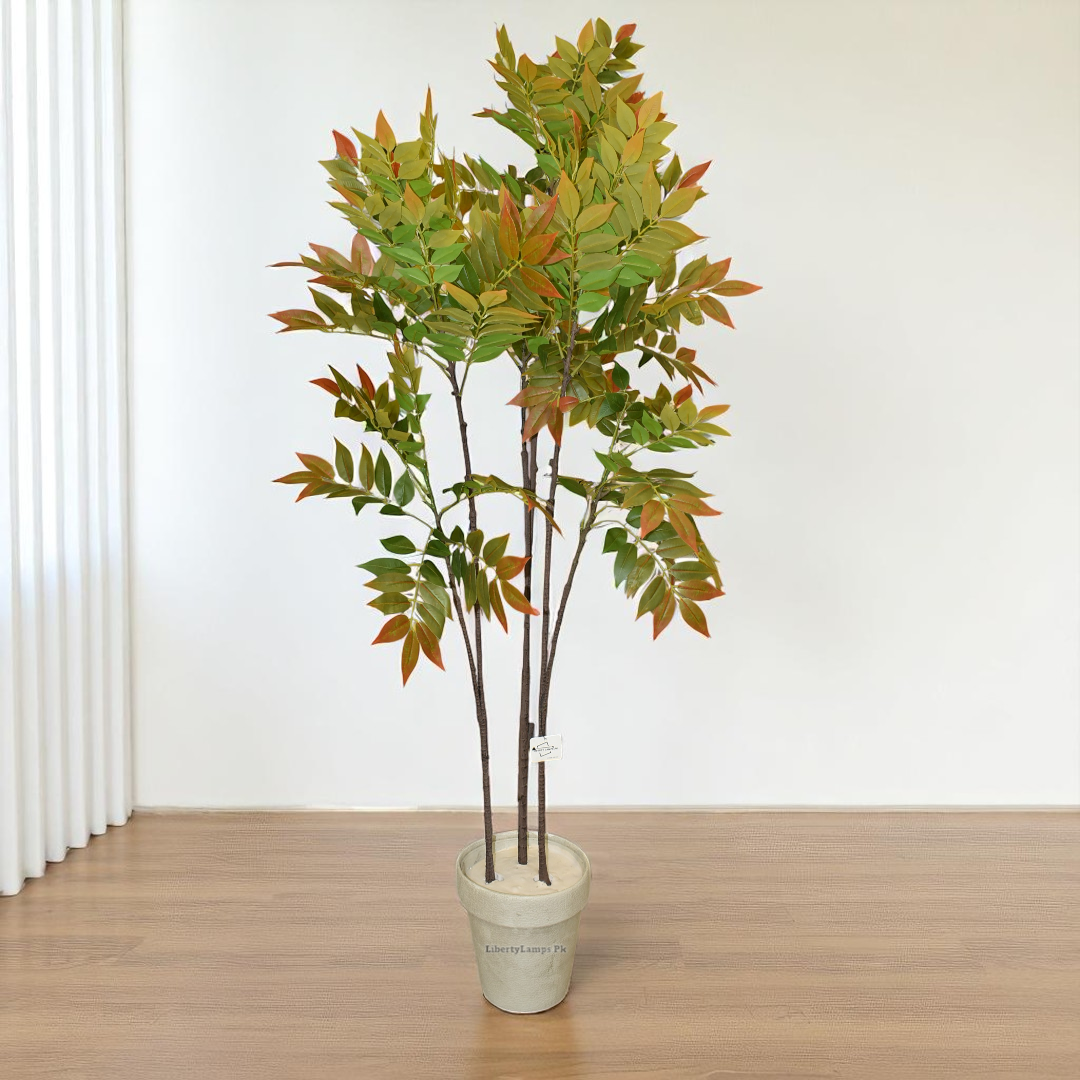 Evergreen Charm – Small Ficus Plant with Planter