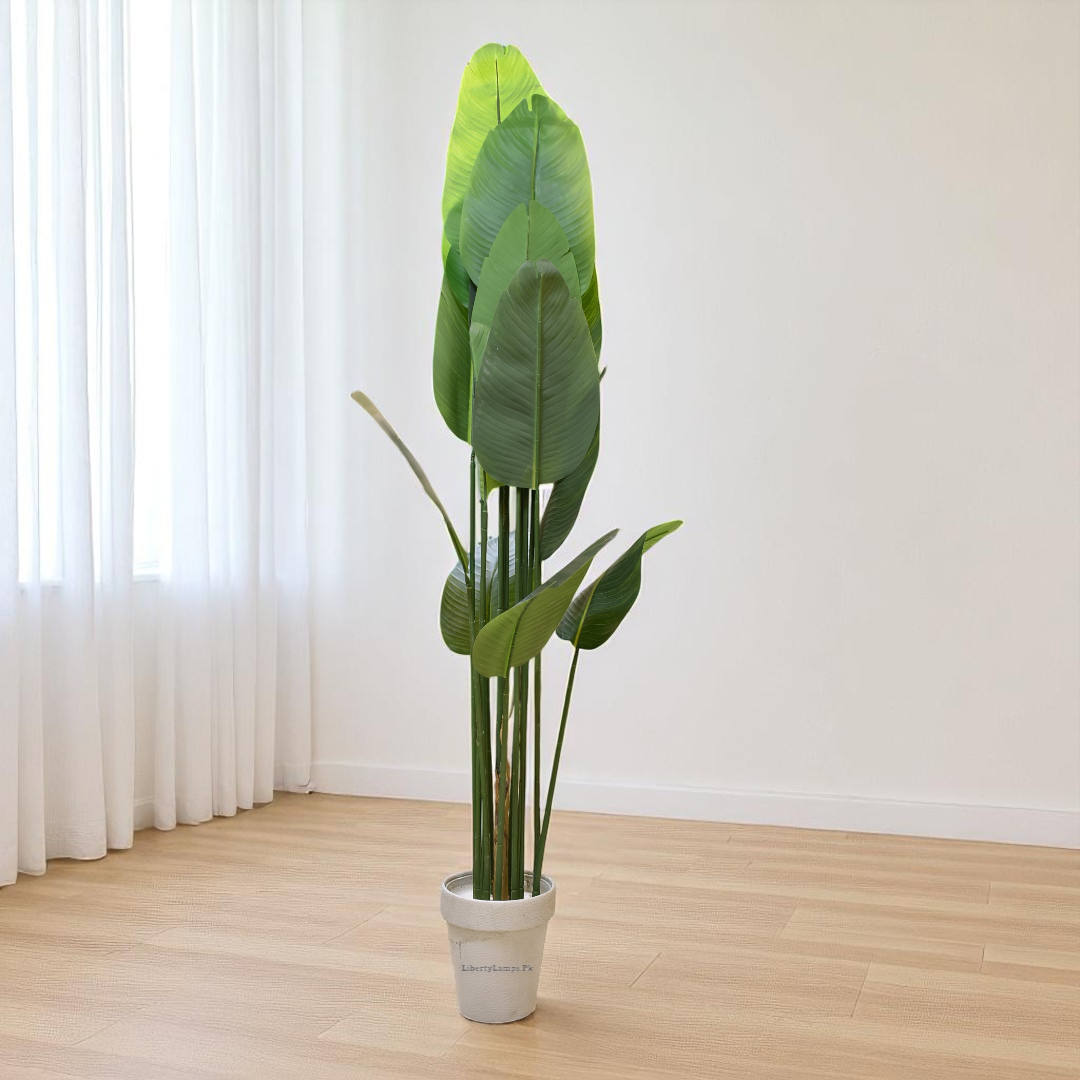 Tropic Giant – Banana Decorative Plant (6 Feet)