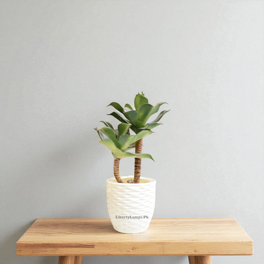 Desert Charm – Artificial Cactus Plant with Pot (8 Inch)