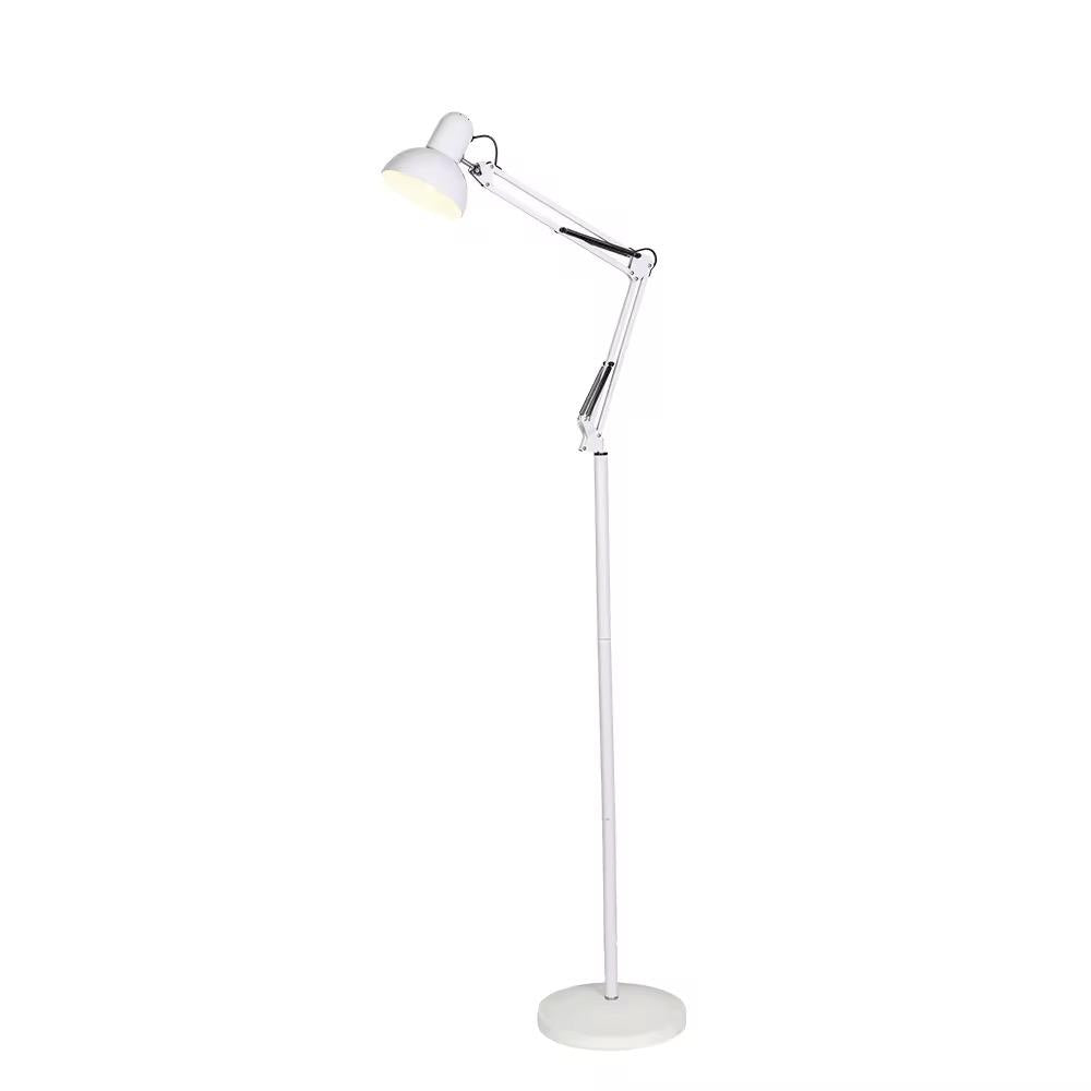 Study Floor Lamp (56 Inches) with Adjustable Spotlight – 4 Color Options