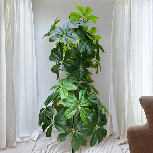 ðŋ Chico Artificial Plant â Double Bunch (Height: 4.5 Feet)