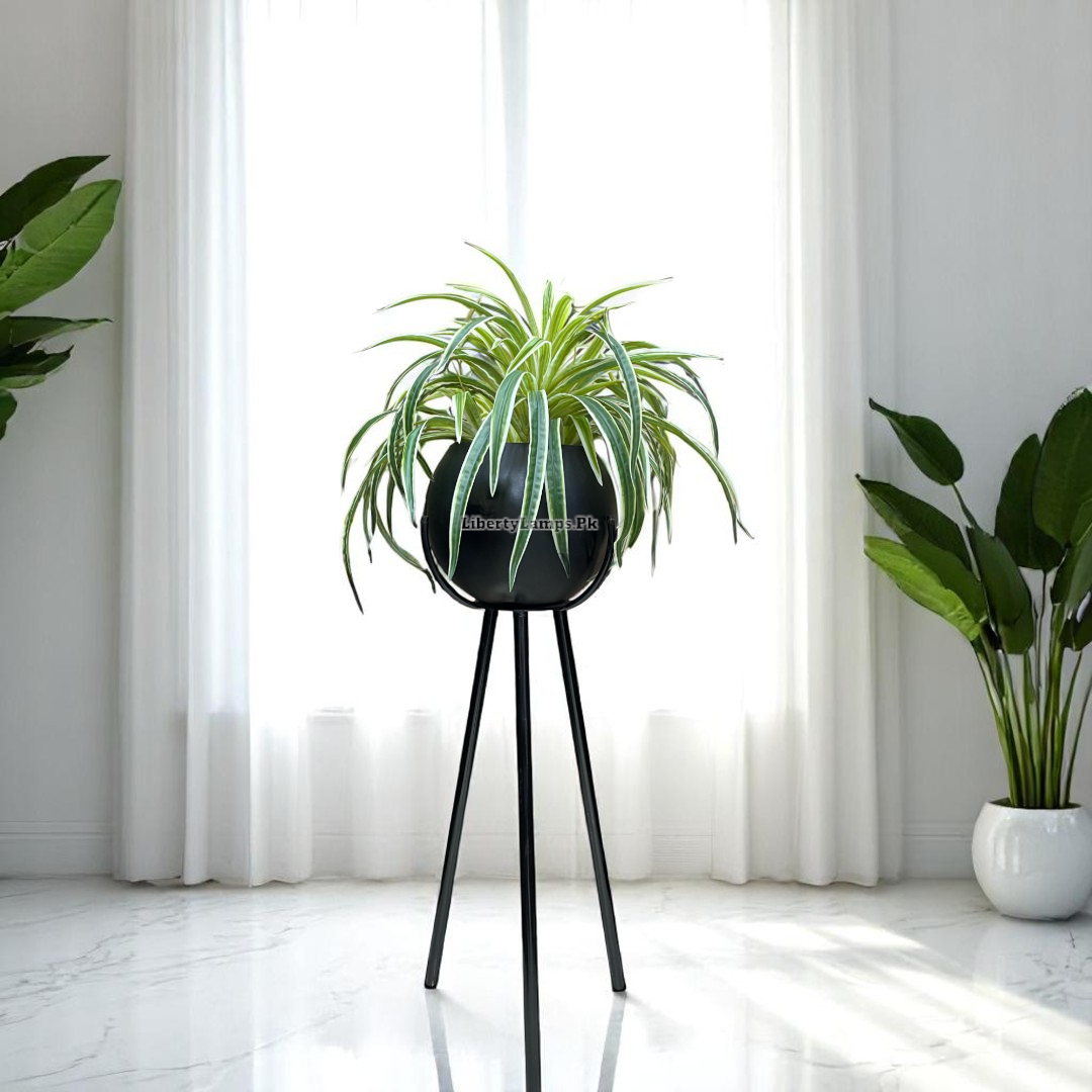 🌿 Spider Plant with Floor Stand (Height: 34 Inch)
