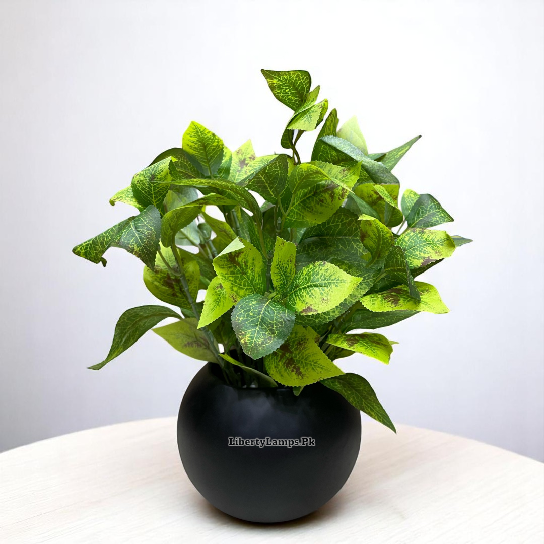 🌿 Green Leaf Plant in Matte Black Pot (Height: 10 Inch)