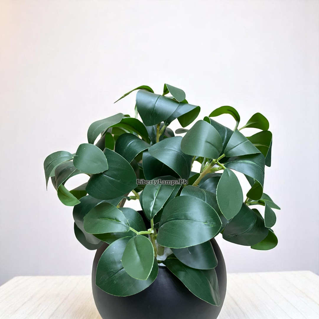 🍁 Orange Leaf Plant in Matte Black Pot (Height: 10 Inch)