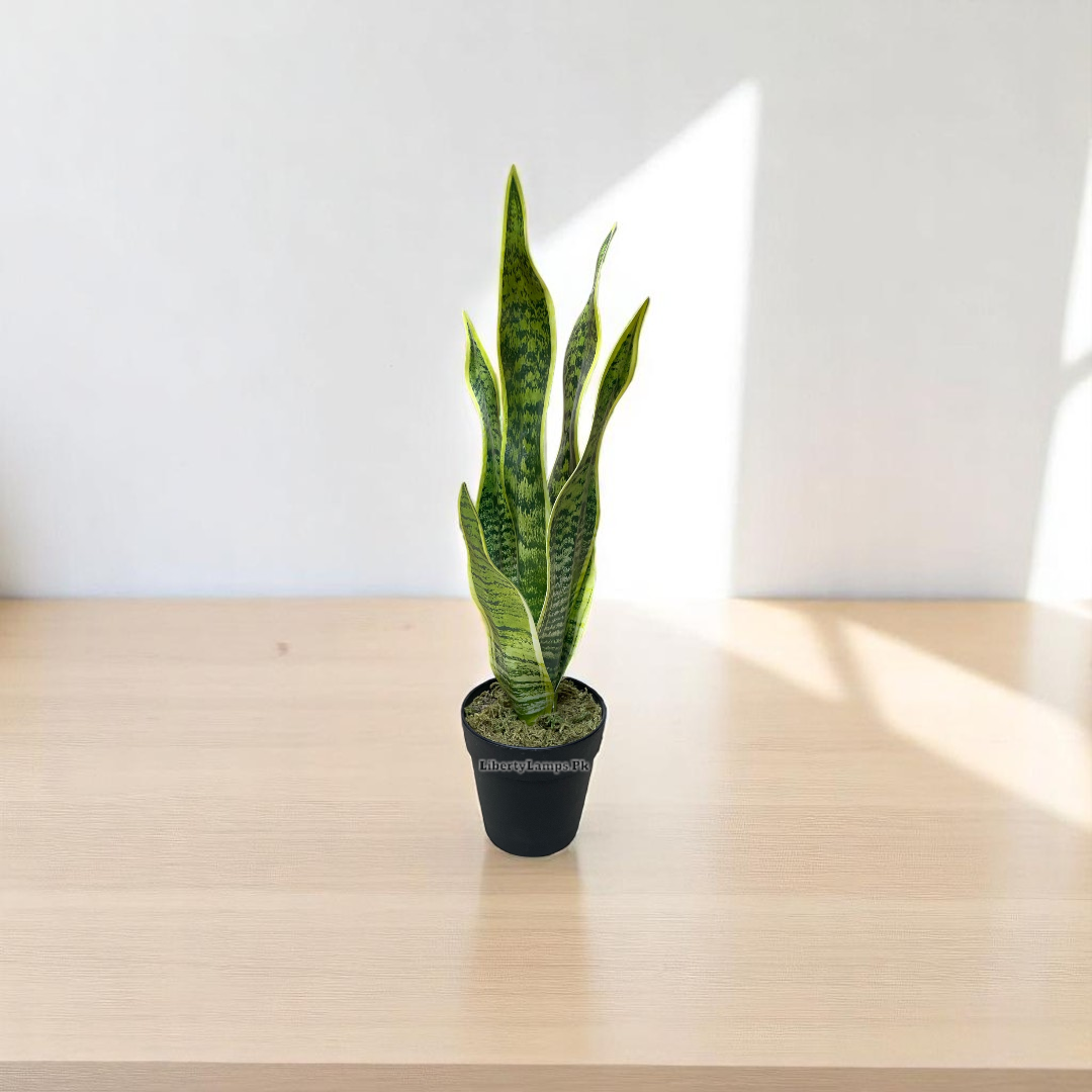 🌿 Snake Plant in Decorative Pot (Height: 1 Feet)