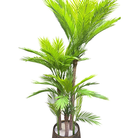 Tropical Breeze – Bamboo Palm with Fiber Pot Planter (7 Feet)