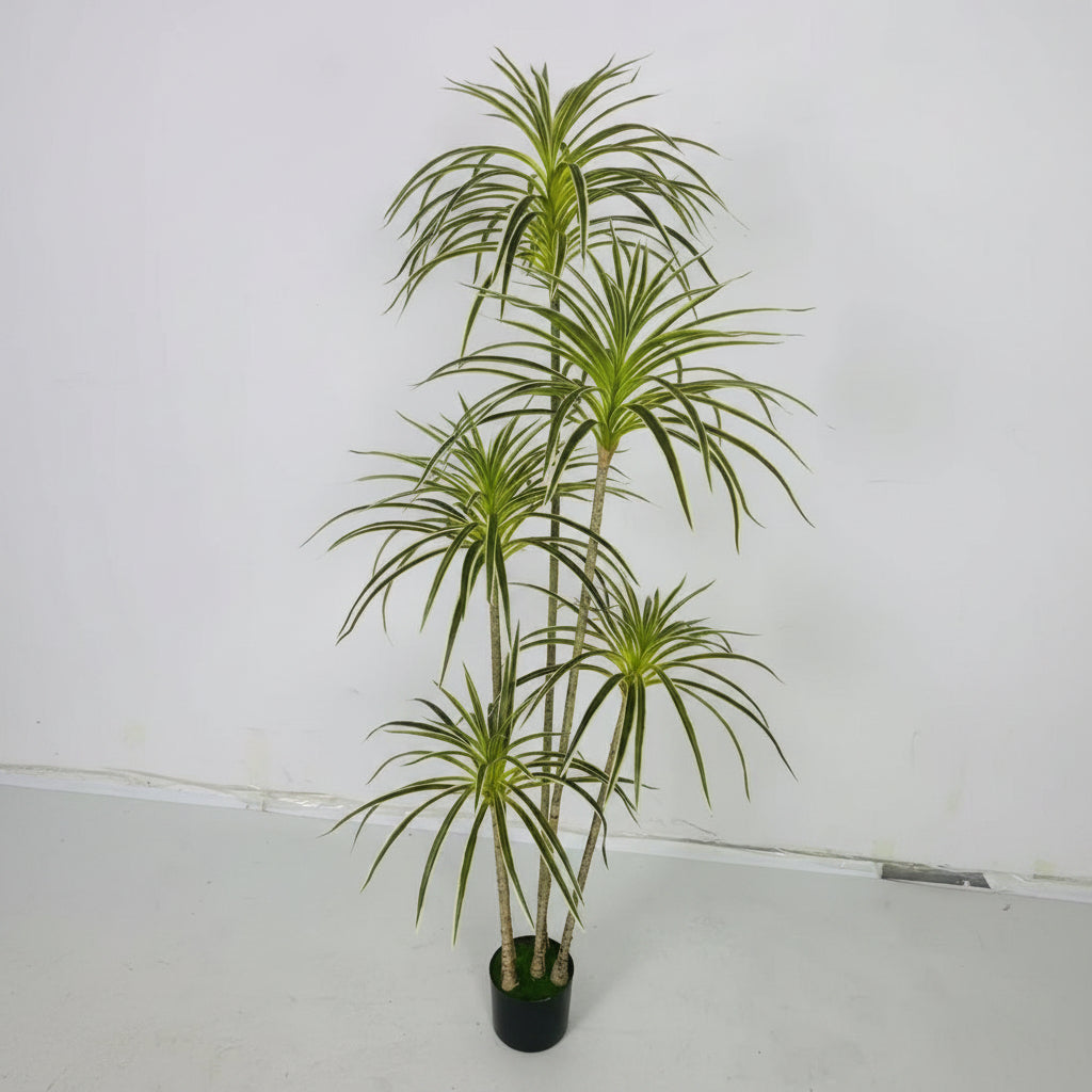 Spider Green™ – 5-Bunch Decorative Plant