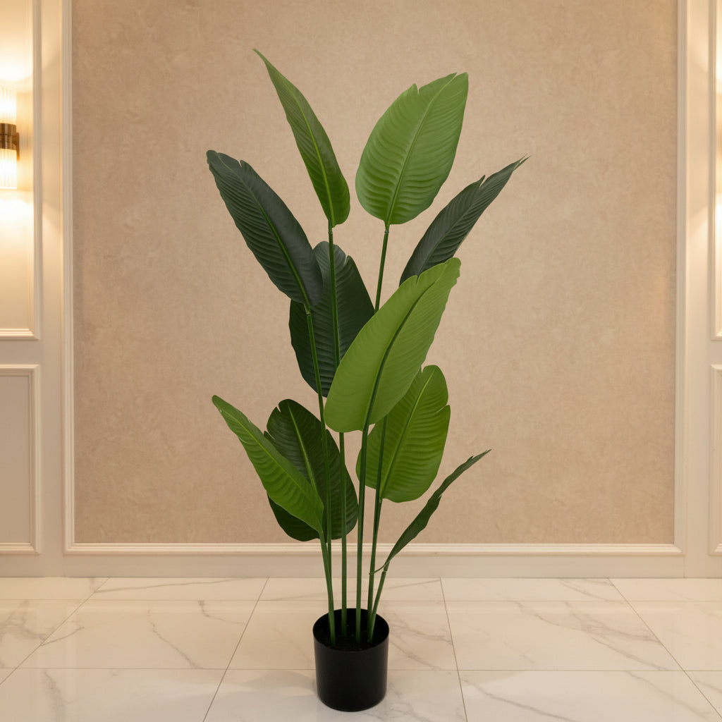 Tropical Grace™ – 10-Leaf Banana Plant