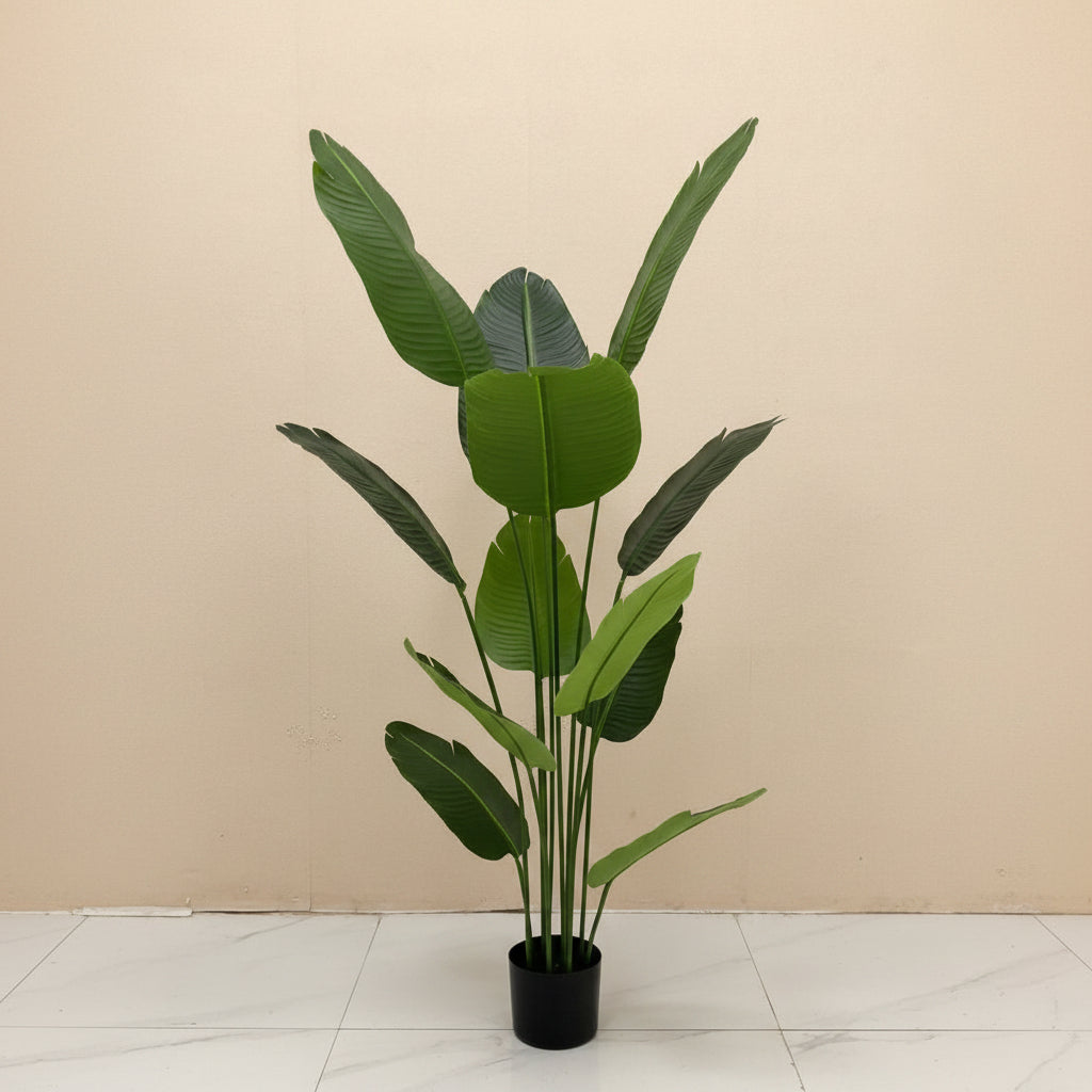 Tropical Luxe™ – 12-Leaf Banana Plant