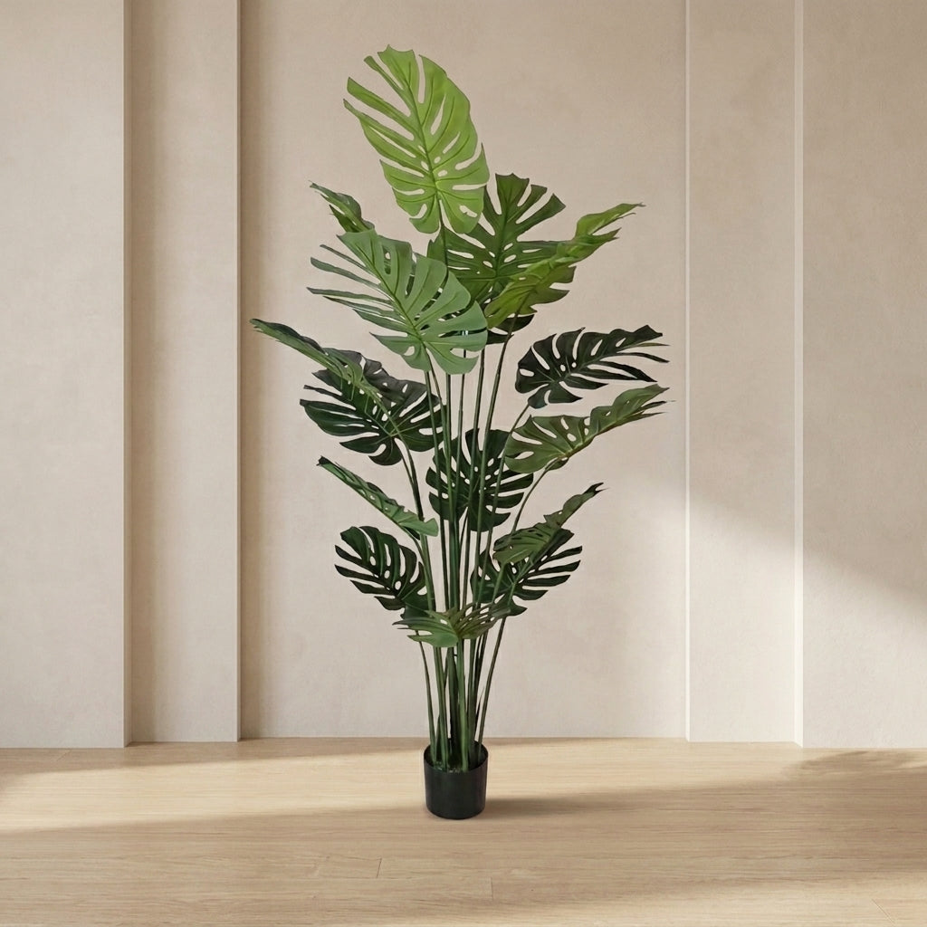 Monstera Plant – 16 Leaves