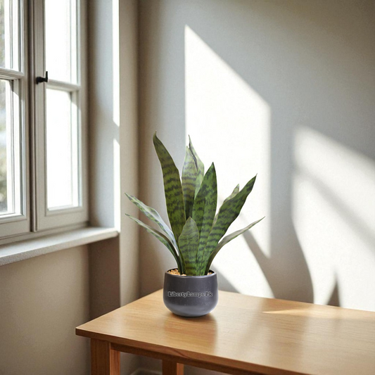 Urban Green – Snake Artificial Plant (12 Inch)
