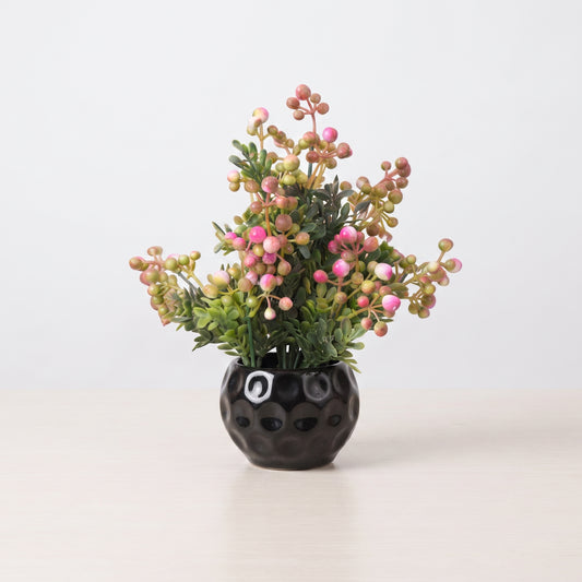 Green Charm™ – Small Decorative Plant