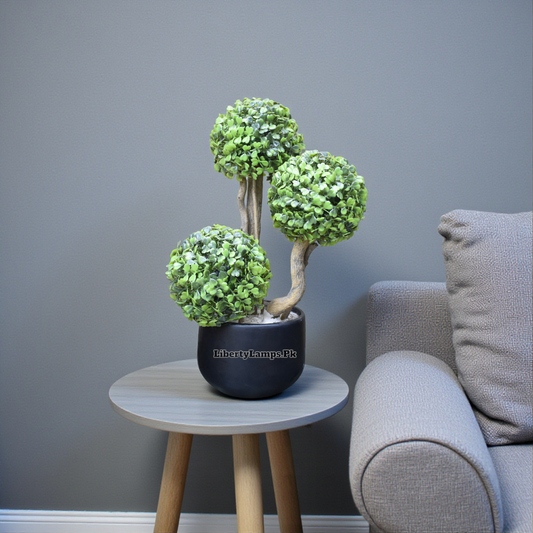 Mini Mystic Mushroom Plant – Decorative Accent (Single)