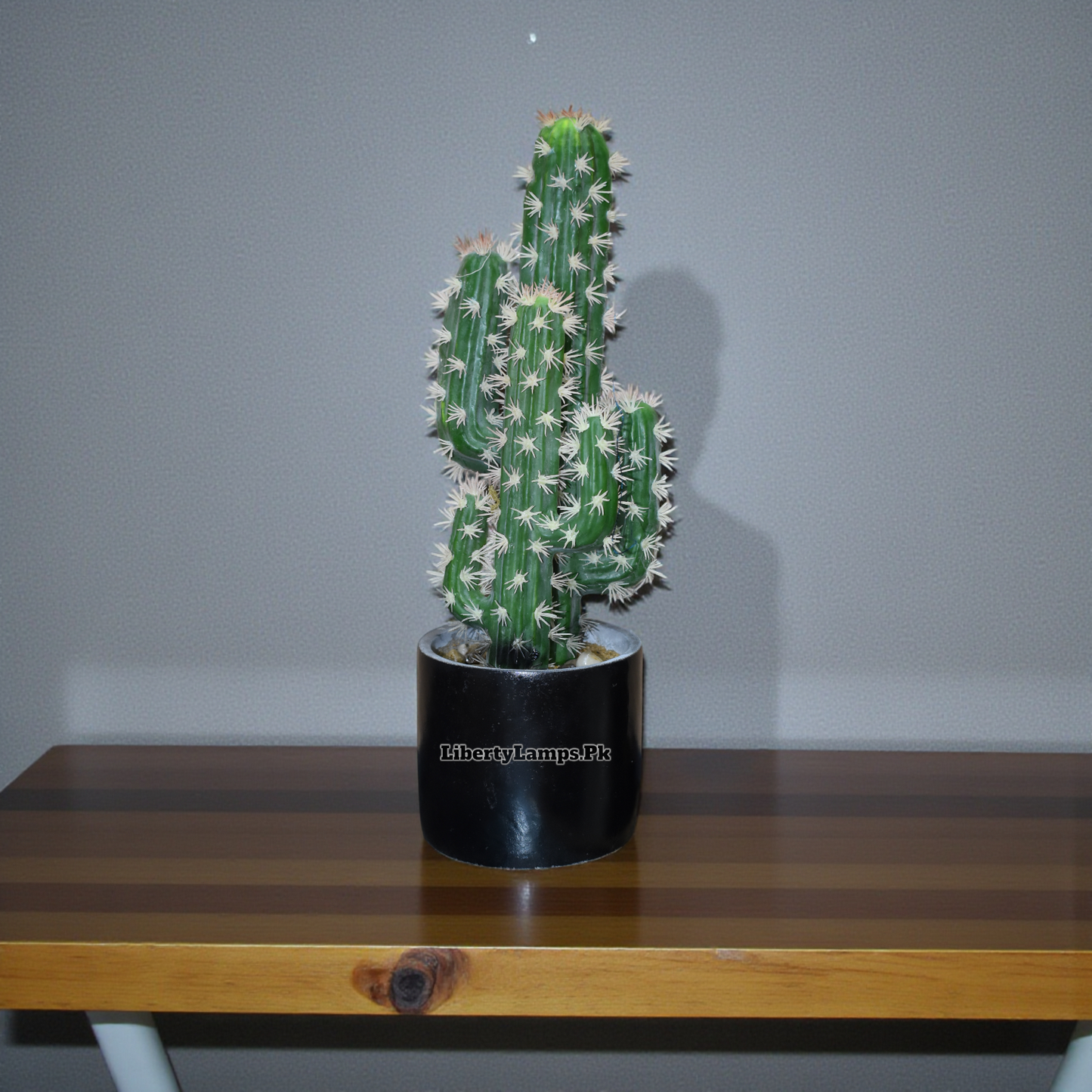 Desert Whisper™ – Cactus Plant Pair (16 Inch Height)