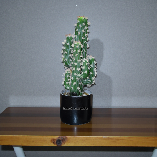 Desert Whisper™ – Cactus Plant Pair (16 Inch Height)
