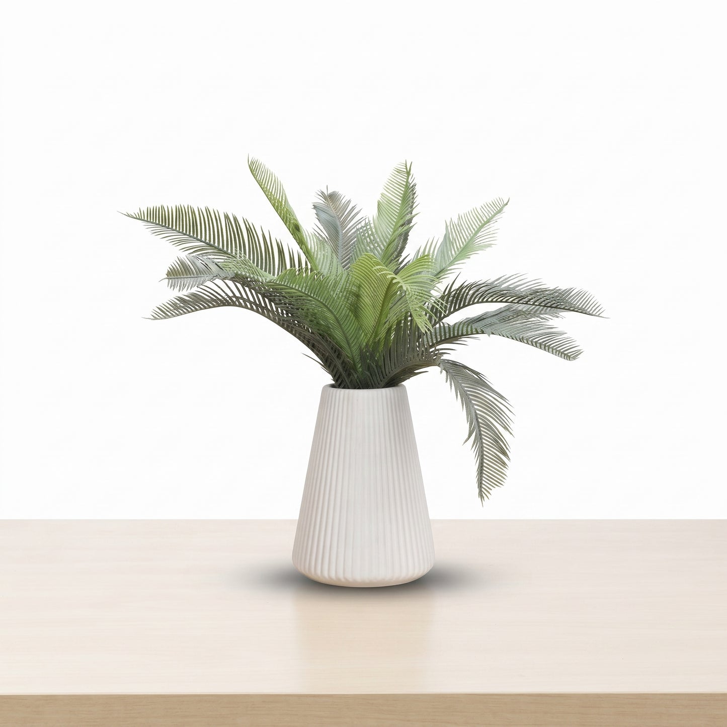 Tropical Grace™ – Kungee Palm Plant