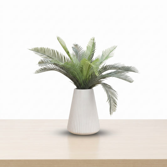 Tropical Grace™ – Kungee Palm Plant