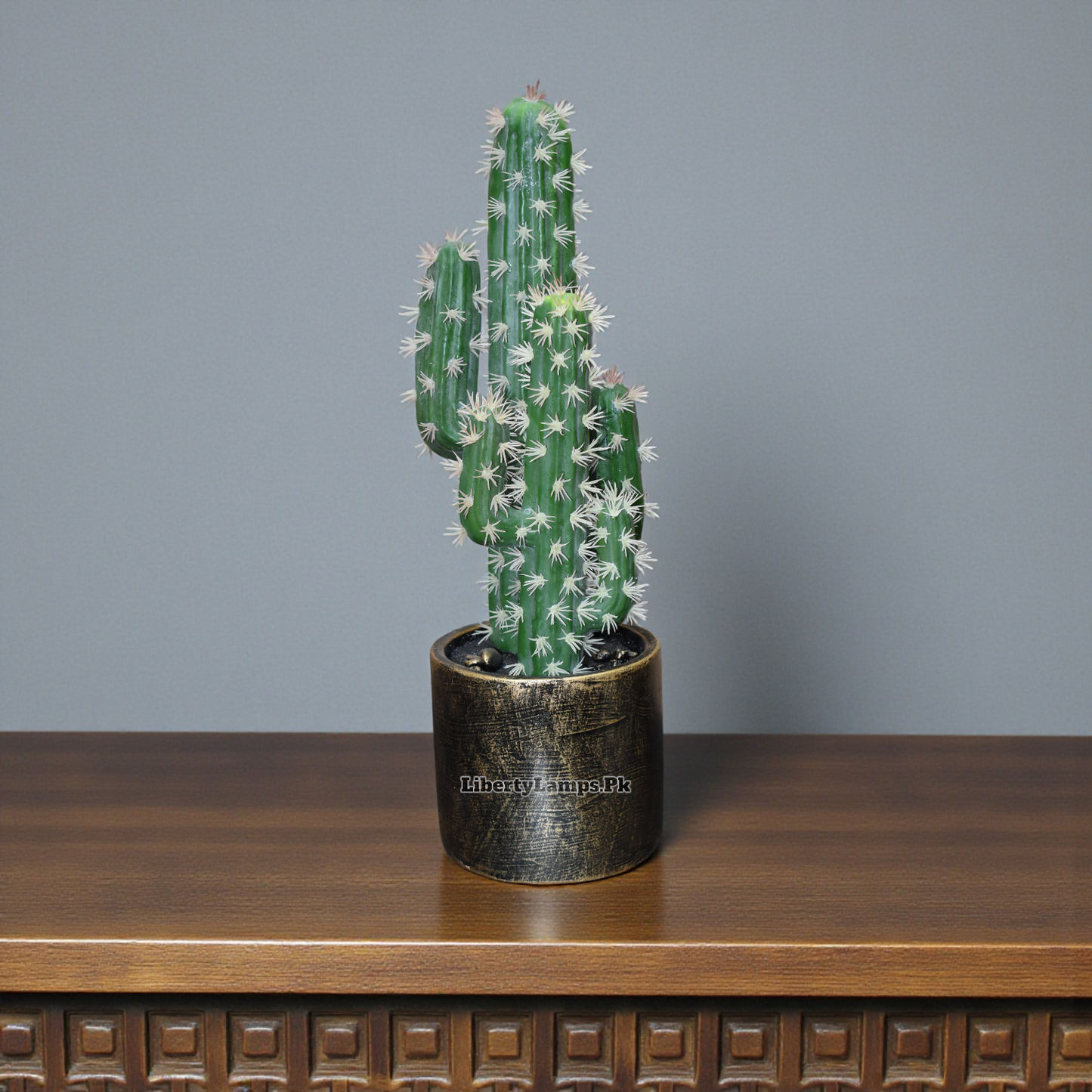Desert Muse™ – Cactus Plant Pair (16 Inch Height)