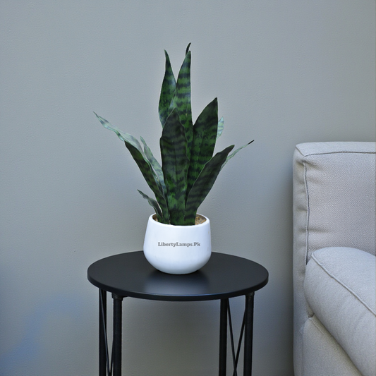 Snake Plant – Premium Artificial Greenery (Single)