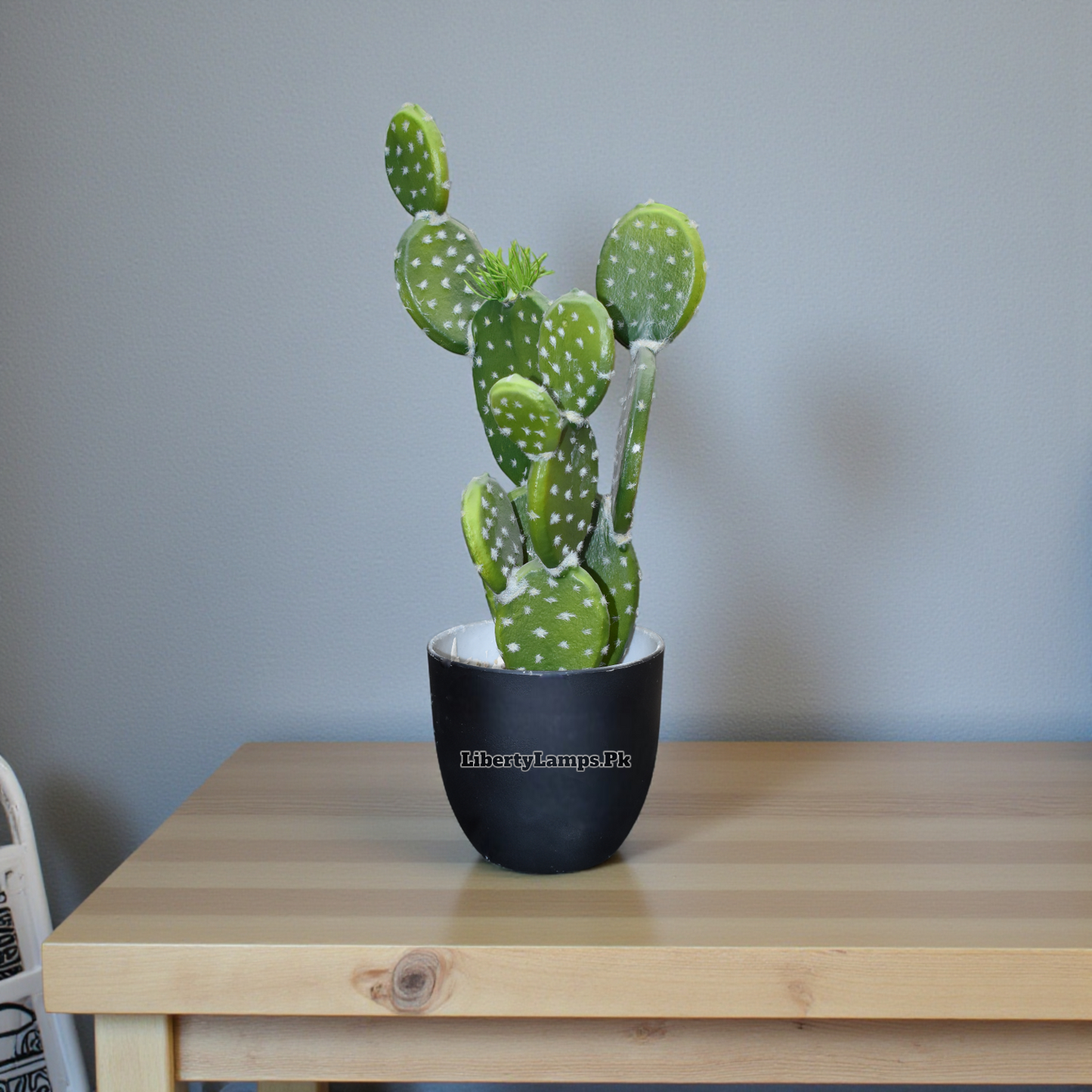 Desert Charm™ – Cactus Plant Pair (17 Inch Height)