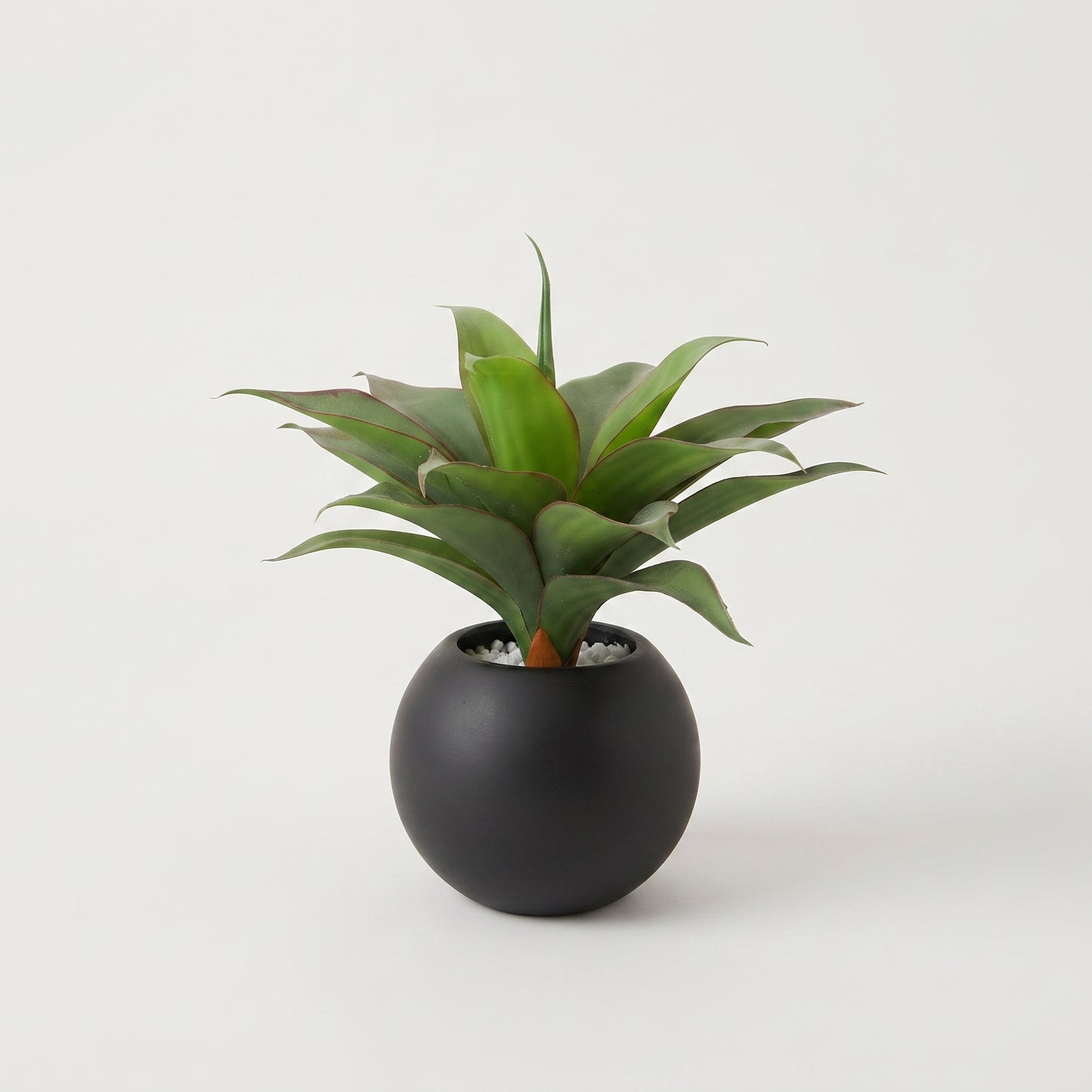 Desert Charm™ – Decorative Cactus Pot
