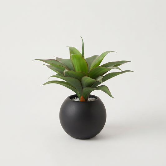 Desert Charm™ – Decorative Cactus Pot