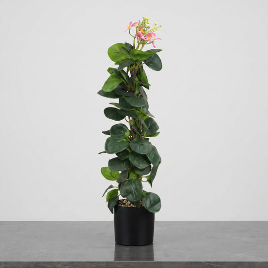 Nature Bliss™ – Decorative Indoor Plant