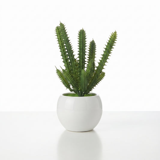 Desert Bloom™ – Small Cactus Pot