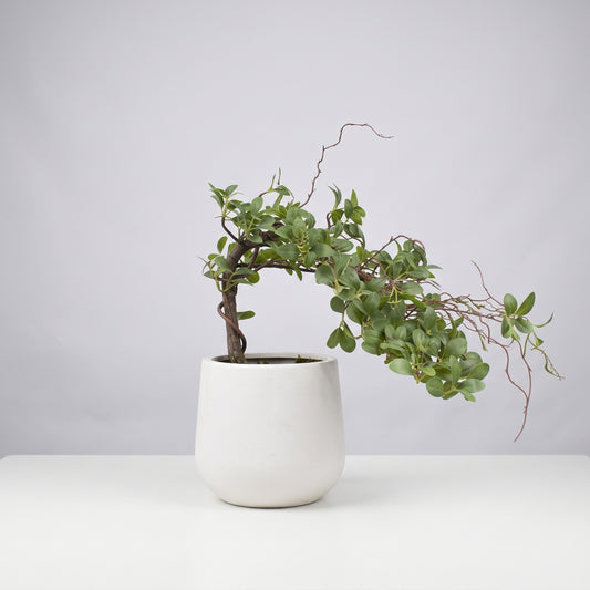 Zen Harmony™ – Large Bonsai Tree
