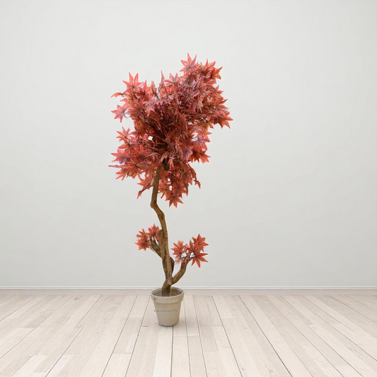 Amber Bloom – Rust Star Flower Decorative Plant (6 Feet)