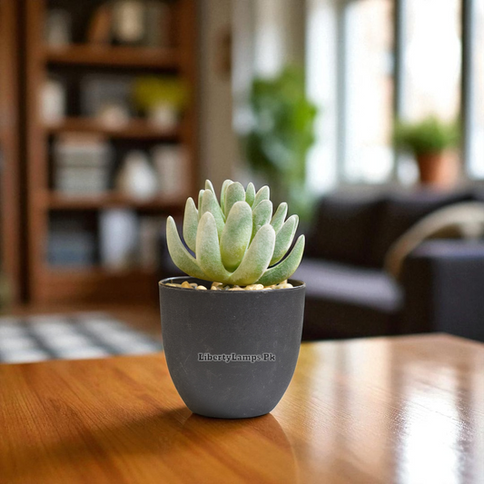 Green Accent – Small Artificial Cactus Plant
