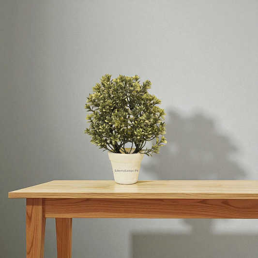 Evergreen Charm – Artificial Plant with Planter (Single)
