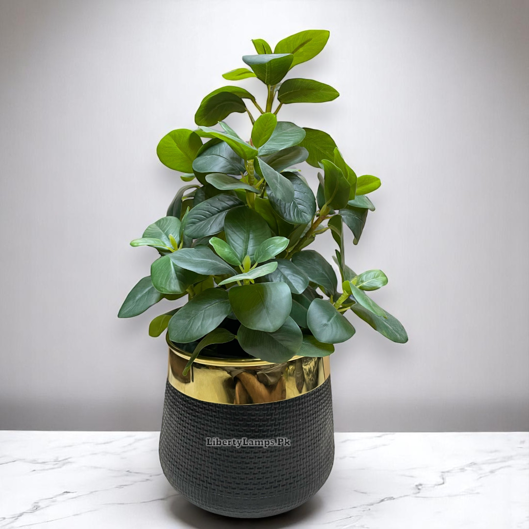 🍁 Orange Leaf Plant with Black Stripe Pot (Height: 14 Inch)