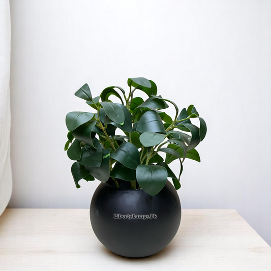 🍁 Orange Leaf Plant in Matte Black Pot (Height: 10 Inch)