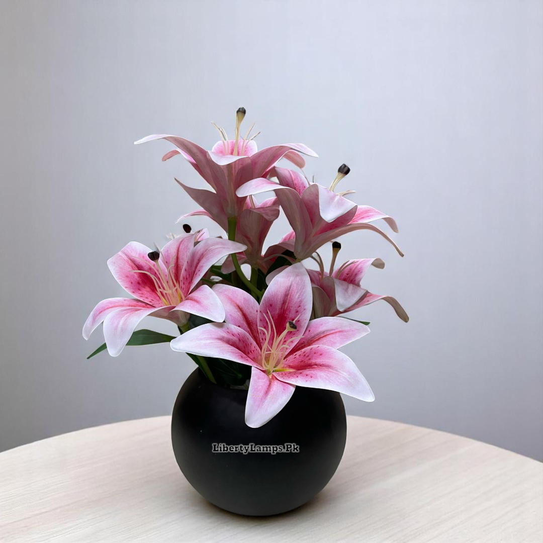 🌸 Lily Pot Flower Arrangement (Height: 12 Inch)