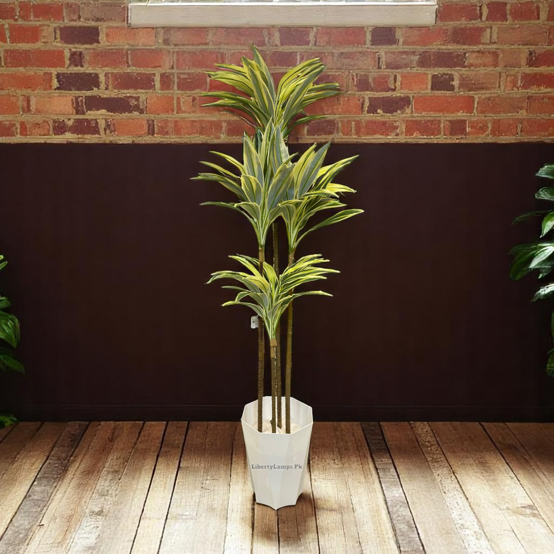 Shaded Drycenia Artificial Plant (Single)