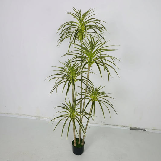 Spider Green™ – 5-Bunch Decorative Plant