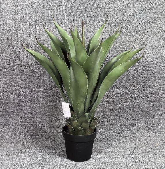 Desert Bloom™ – Decorative Cactus Plant