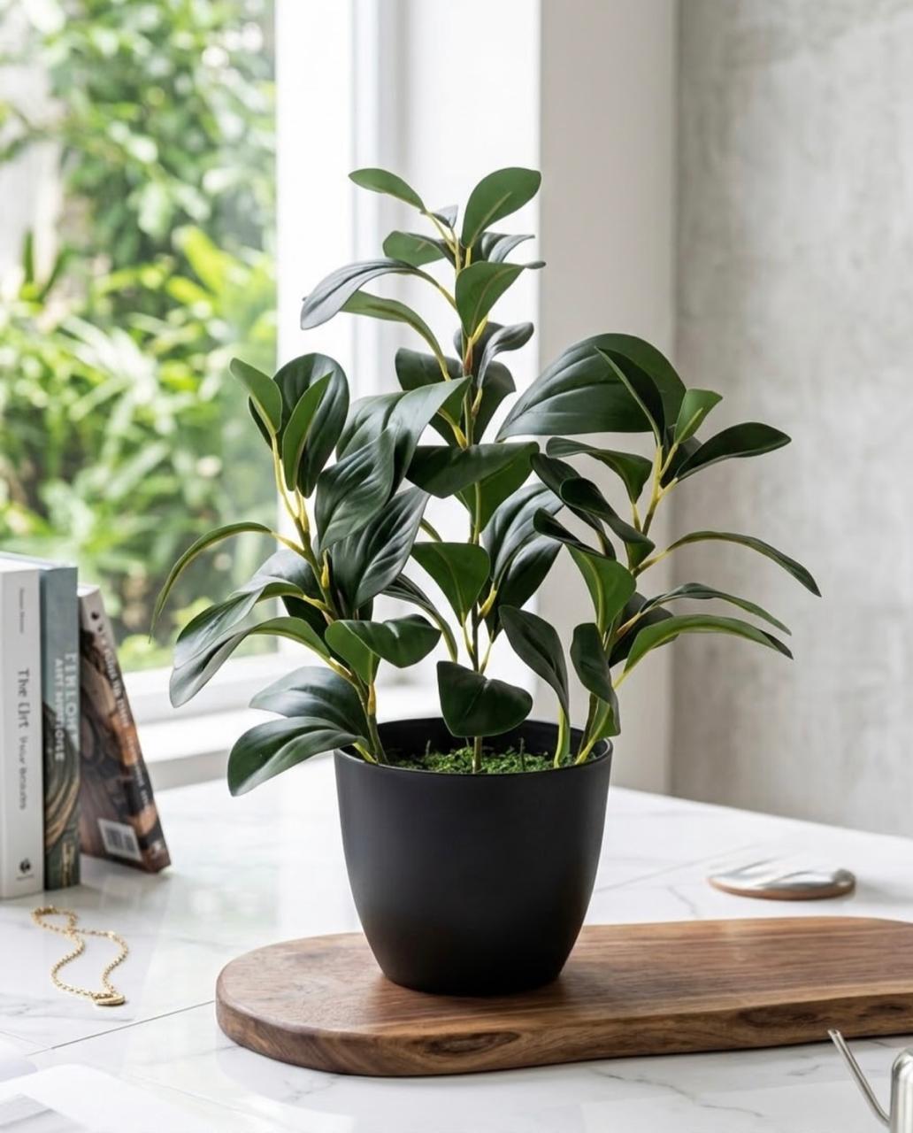 Elegant Haven™ – Fancy Decorative Pot