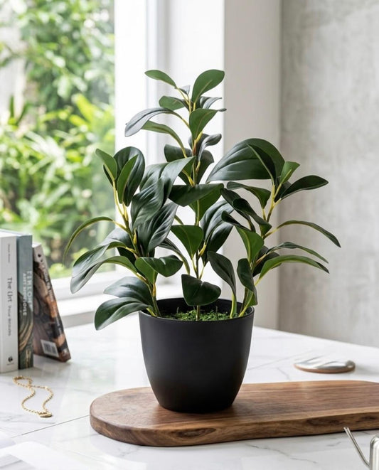 Elegant Haven™ – Fancy Decorative Pot