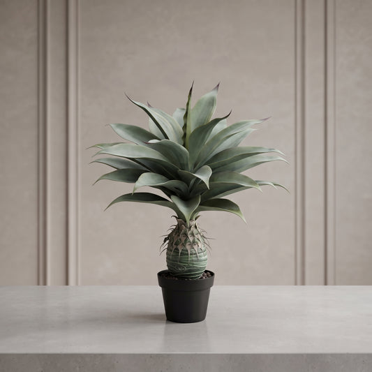 Desert Majesty™ – Decorative Cactus Plant