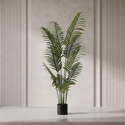 Emerald Oasis™ – Areca Palm Plant
