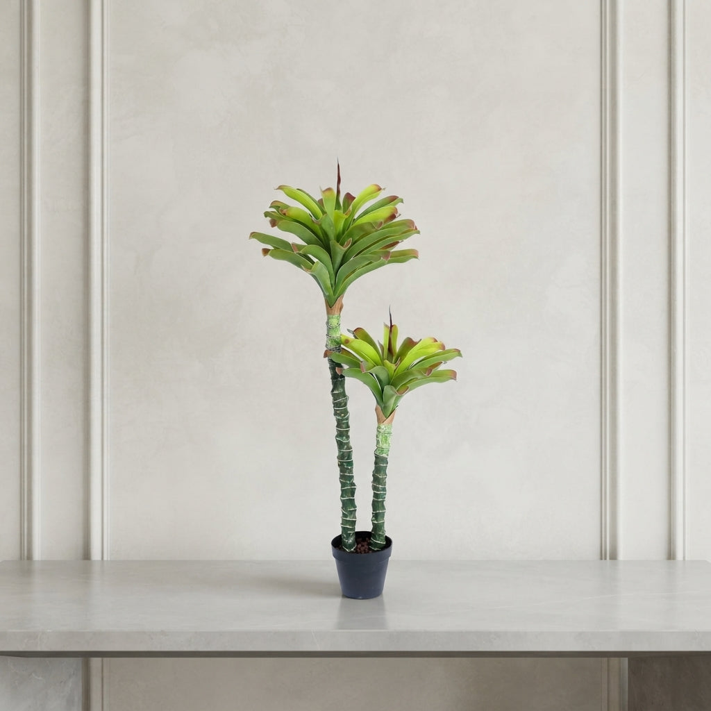 Desert Duo™ – 2-Bunch Cactus Plant