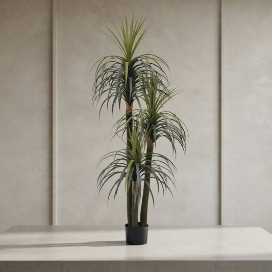 Evergreen Harmony™ – Decorative Green Plant